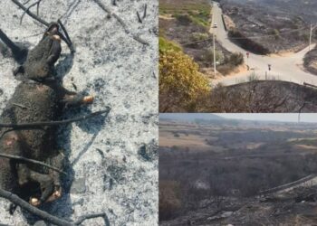 Domusnovas, un palo elettrico difettoso è la causa del rogo che ha incenerito centinaia di ettari