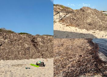 Poetto denigrato per la Posidonia ma da Santa Teresa Gallura c’è chi invidia la spiaggia dei centomila