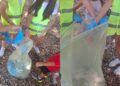 Guspini, piccoli al lavoro per ripulire dove i grandi sporcano