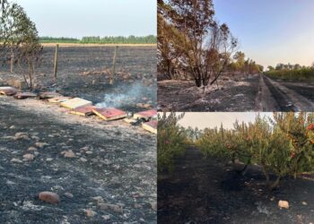 Villacidro, un altro colpo al cuore dopo il devastante incendio di un anno fa: ieri si è ripetuto il dramma