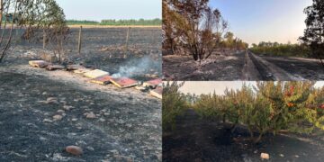 Villacidro, un altro colpo al cuore dopo il devastante incendio di un anno fa: ieri si è ripetuto il dramma
