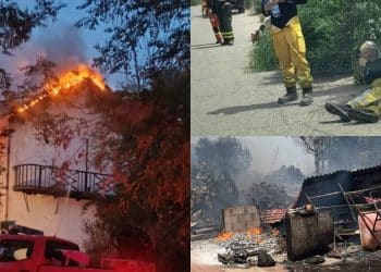 La lunga notte di Sinnai e Portoscuso: ferite dagli incendi, morte e distruzione tra la flora e la fauna