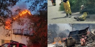 La lunga notte di Sinnai e Portoscuso: ferite dagli incendi, morte e distruzione tra la flora e la fauna