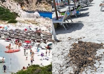 Dal Poetto a Villasimius, spiagge sarde libere ridotte a fazzoletti dove il sole si prende tutti ammassati