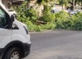 Cagliari, grosso ramo cade in via Cugina di fronte al Dettori
