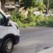 Cagliari, grosso ramo cade in via Cugina di fronte al Dettori