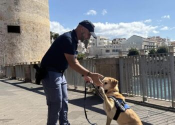 Oristano, la Polizia saluta il cane antiesplosivo Aaron: “Il suo ricordo resterà vivo tra i colleghi”