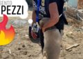 Cani legati e abbandonati sotto il sole: raffica di ordinanze contro l’inciviltà dai sindaci nel Cagliaritano