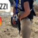 Cani legati e abbandonati sotto il sole: raffica di ordinanze contro l’inciviltà dai sindaci nel Cagliaritano