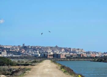 Cagliari, a Santa Gilla moria di cozze: dopo il ciclone Harry ci ha pensato il gran caldo, “le portiamo tutte in Regione”