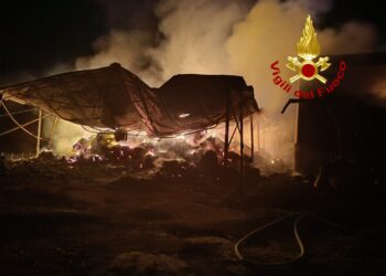Benetutti, vasto rogo distrugge un capannone: ore di lavoro per i vigili del fuoco