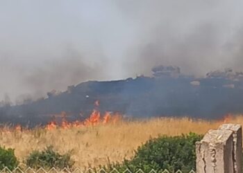 Incendio ai piedi di Cuccuru Nuraxi, paura per il sito archeologico: “Siamo disperati”