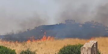 Incendio ai piedi di Cuccuru Nuraxi, paura per il sito archeologico: “Siamo disperati”
