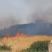 Incendio ai piedi di Cuccuru Nuraxi, paura per il sito archeologico: “Siamo disperati”