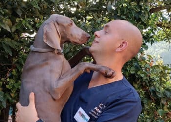 Radio Zampetta Sarda, il veterinario Davide Isolato ci parla della rottura del crociato nel cane