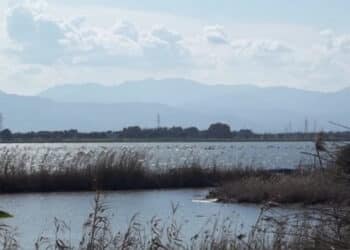 Cagliari, il Consiglio approva documento di intenti e governance per il Contratto di Laguna, Mura:”Protagonisti i pescatori”
