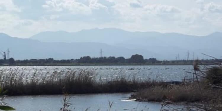 Cagliari, il Consiglio approva documento di intenti e governance per il Contratto di Laguna, Mura:”Protagonisti i pescatori”