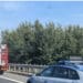 Auto si ribalta in autostrada: muore una bimba di 8 anni