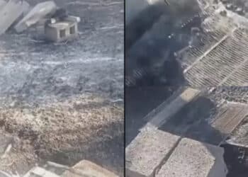 750 mila api uccise dall’incendio tra Selargius e Monserrato: tutto è stato raso al suolo