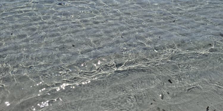 “Il Mediterraneo non è in vendita”: dalle Baleari alla Sardegna le comunità difendono il paesaggio e il proprio futuro