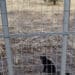 Assemini, via Iglesias ripulita: la Regione Sardegna “ha finalmente provveduto alla pulizia del terreno di sua proprietà“