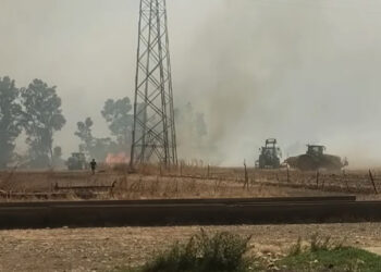Sardegna ancora in fiamme, numerosi roghi in atto in tutta l’Isola: chiusa la statale 131 nell’Oristanese