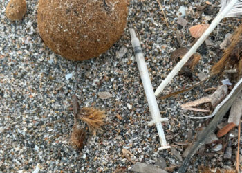 Poetto, individuata una siringa alla sesta fermata: “È in prossimità della riva dove tutti camminano scalzi”