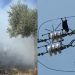 Quartucciu, cornacchia rimane folgorata nei tralicci dell’alta tensione e scoppia un incendio: distrutto un terreno privato