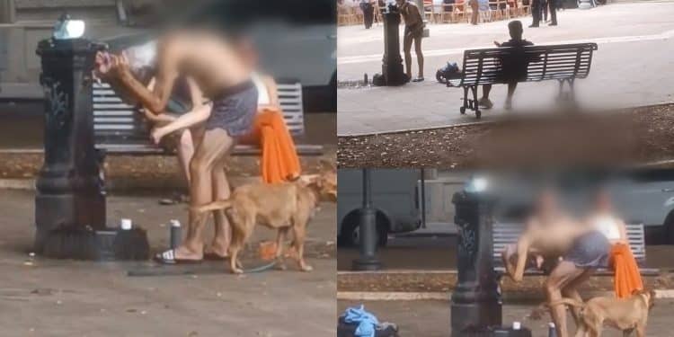 Il degrado in Piazza del Carmine: barba, capelli e doccia anche durante gli spettacoli