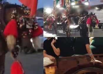 Quartu, la festa per il Santo fa insorgere gli animalisti: “Cavalli costretti a trainare calessi con oltre 10 persone”