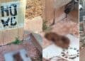 Cagliari, un “defecatore seriale” prende di mira l’unica fontanella del Terrapieno