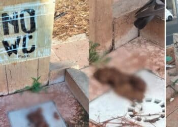 Cagliari, un “defecatore seriale” prende di mira l’unica fontanella del Terrapieno