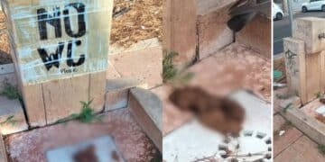 Cagliari, un “defecatore seriale” prende di mira l’unica fontanella del Terrapieno