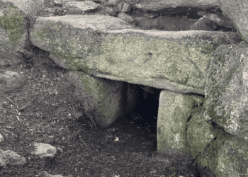 Bortigali, scoperta una Tomba dei Giganti nell’area archeologica di Carrarzu Iddia
