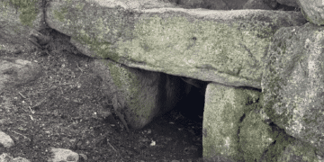 Bortigali, scoperta una Tomba dei Giganti nell’area archeologica di Carrarzu Iddia