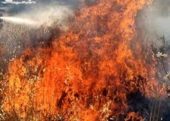 Dodici intossicati dal fumo dello spaventoso incendio di due giorni fa tra Elmas e Assemini