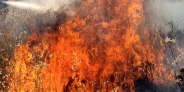 Dodici intossicati dal fumo dello spaventoso incendio di due giorni fa tra Elmas e Assemini