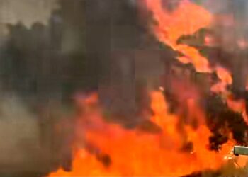 Inferno di fuoco tra Samassi e Villacidro: statale chiusa, a rischio numerose aziende agropastorali