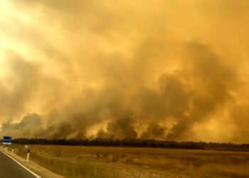 La Sardegna brucia: “È difficile credere che tutto questo sia il frutto della sola autocombustione o della fatalità”