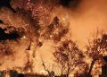 Capoterra, fiamme alte durante la notte in via Amendola: residenti in strada per spostare le auto