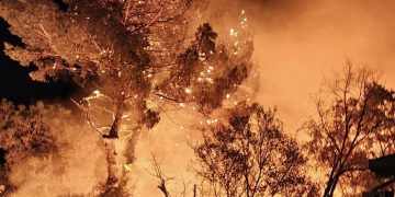 Capoterra, fiamme alte durante la notte in via Amendola: residenti in strada per spostare le auto
