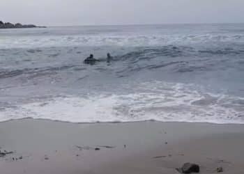 Paura a Porto Frailis, bagnante tra le onde salvato dal bagnino