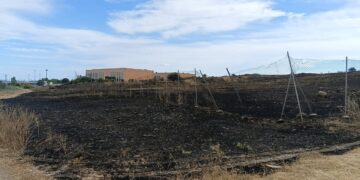 Paura finita alla Cittadella universitaria di Monserrato: incendio domato e nessun ferito