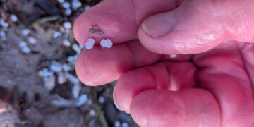 Cagliari, la microplastica che avvelena il Poetto: scatta l’allarme fra la prima e la sesta fermata