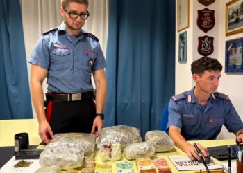 Quartu, nascondeva 3 chili e mezzo di droga di ogni tipo: operaio 34enne in carcere