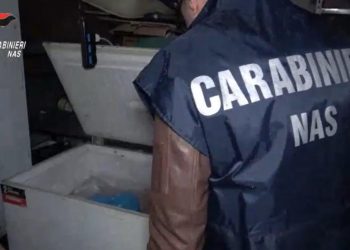 Super controlli dei Nas, a Cagliari chiuso un locale: blatte vive fra alimenti e bevande