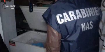Super controlli dei Nas, a Cagliari chiuso un locale: blatte vive fra alimenti e bevande