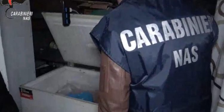 Super controlli dei Nas, a Cagliari chiuso un locale: blatte vive fra alimenti e bevande