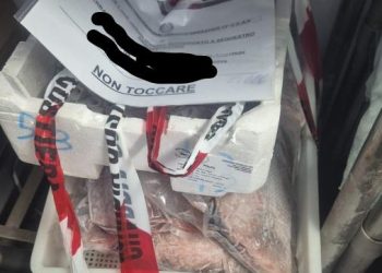 Cagliari, controlli della Guardia costiera sulla filiera della pesca: sanzioni per 14 mila euro e sequestri