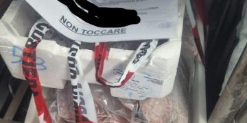 Cagliari, controlli della Guardia costiera sulla filiera della pesca: sanzioni per 14 mila euro e sequestri